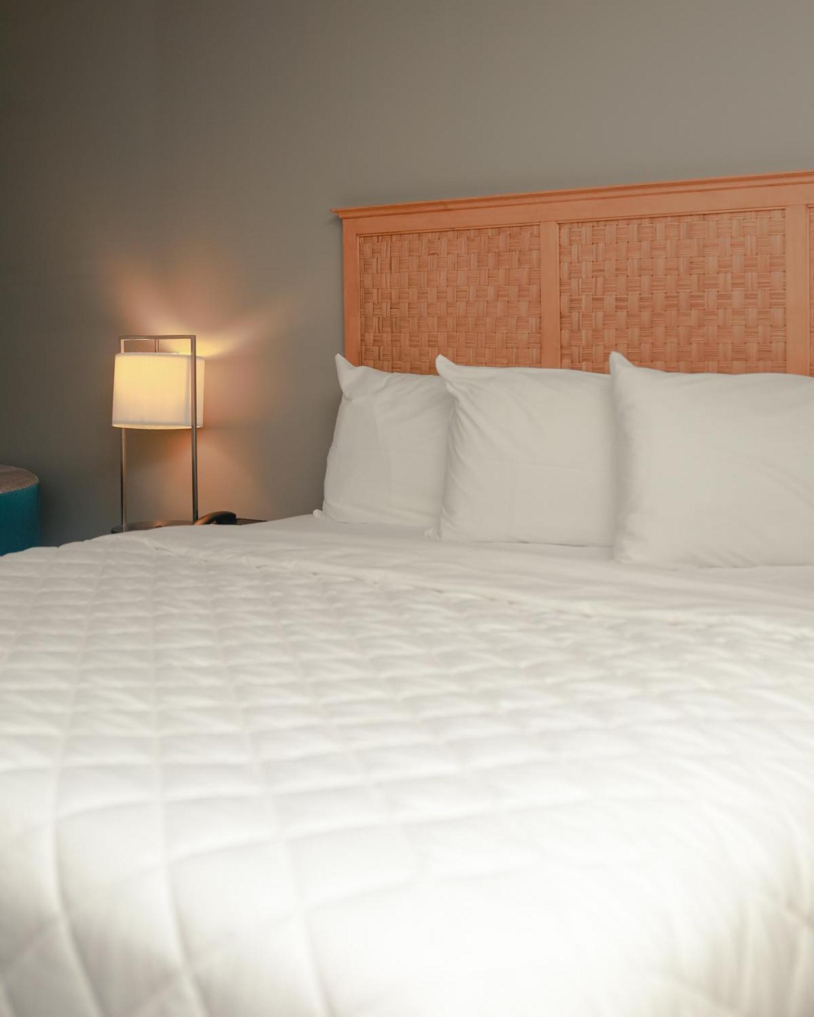 Southern Breeze Ocean Front Hotel マートルビーチ エクステリア 写真